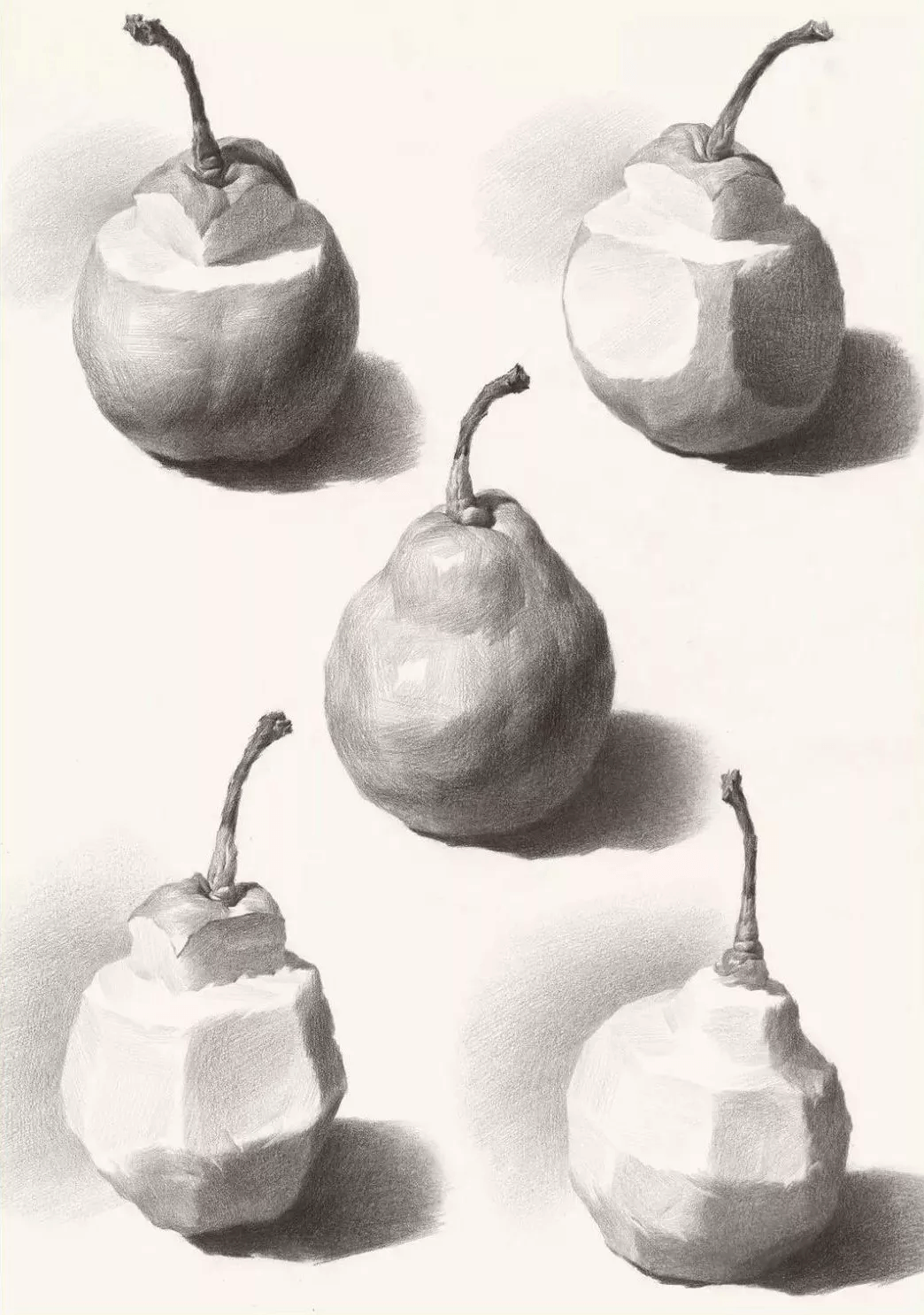 广州画室_常见的素描水果有哪些?